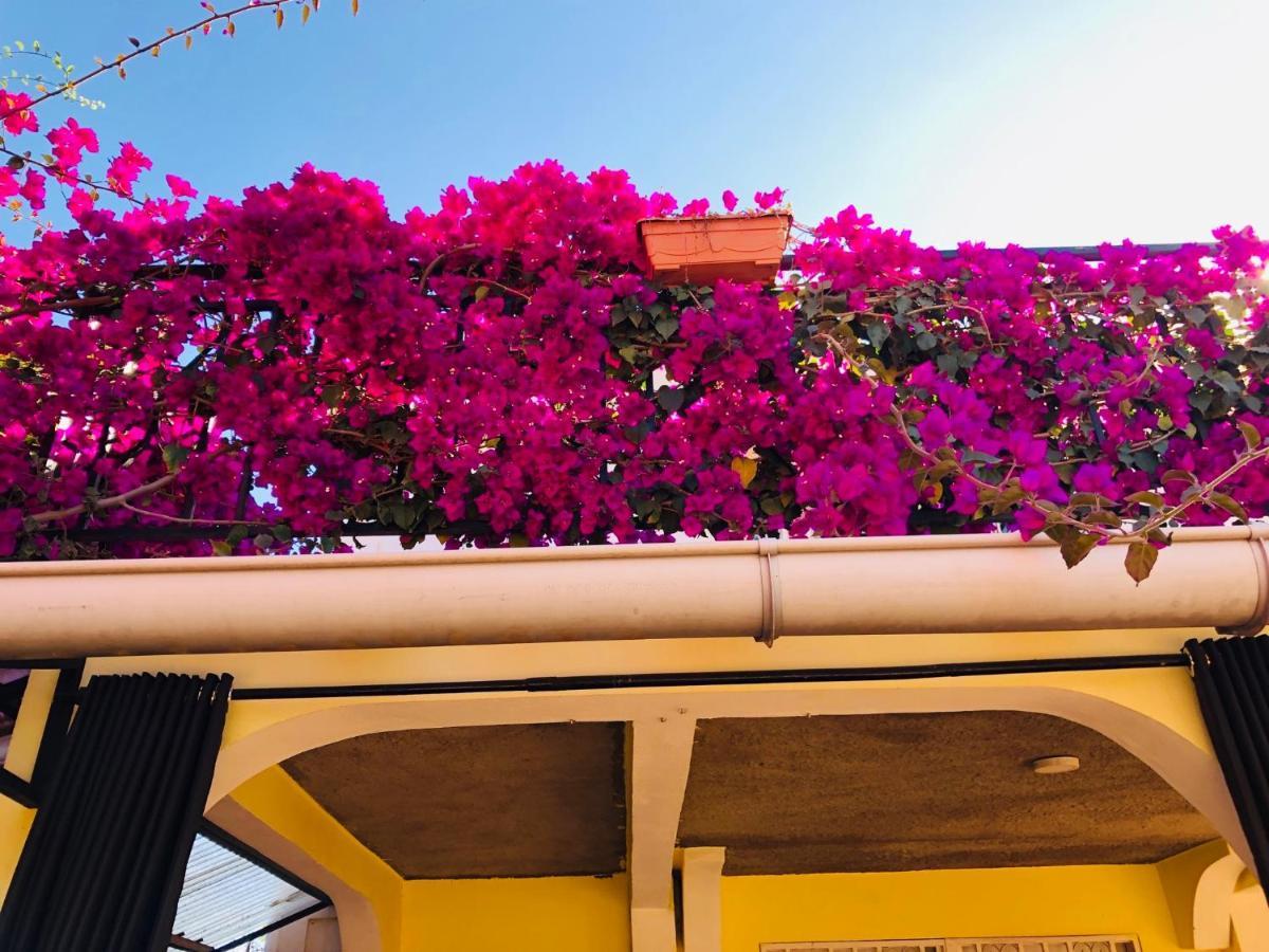 Petite Flower Guest House Talata-maty Экстерьер фото