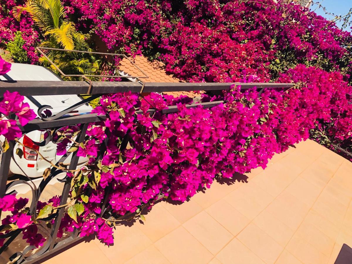 Petite Flower Guest House Talata-maty Экстерьер фото